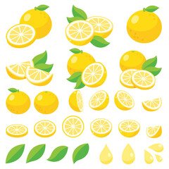 カットされたグレープフルーツ、新鮮なグレープフルーツのベクターイラスト