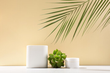 White empty boxes on light backdrop, cactus and succulent plants with shadow.