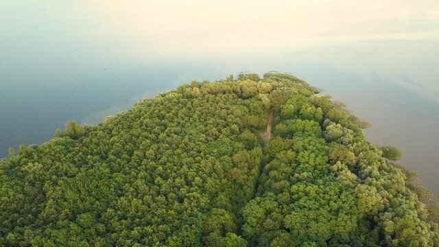 Aerial view of wide Dnister river and green forest.