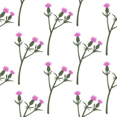 Isolated seamless pattern with burdock branches ornament. Pink flowers on white backhround. Minimalistic floral artwork.