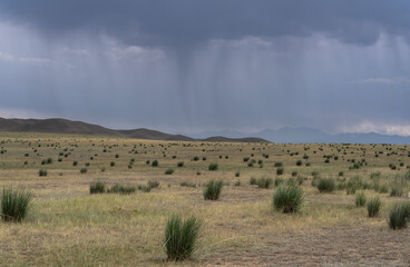 Fototapeta na wymiar Rain in Temirlik Kazakhstan