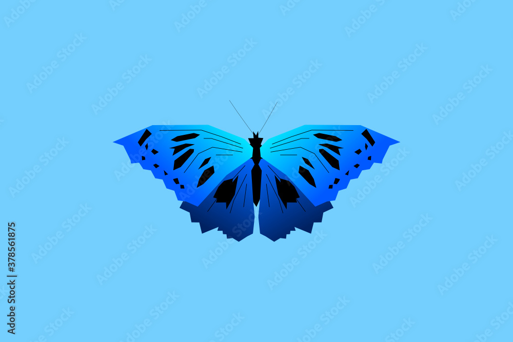 Poster butterfly with open wings top view of symmetry, sketch the graph of vector color drawing butterfly w