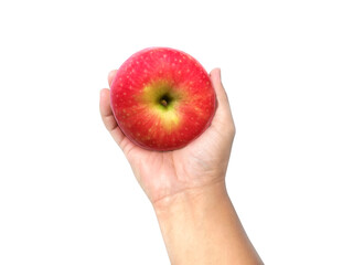 apple in hand isolated on white background