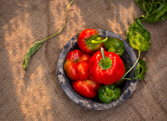 Homegrown red bell peppers from a backyard garden in a rustic bowl on burlap fabric