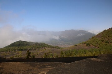 landscape in the morning