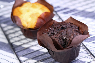 Close up of Muffins on Table Isolated on black,