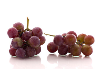grapes, fresh grape fruits on white background