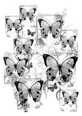 Butterflies graphic design print pattern