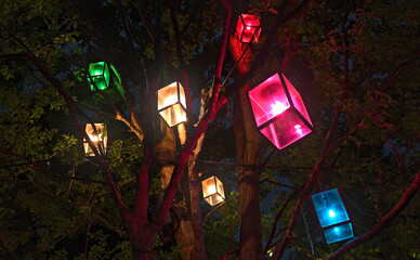 Night view of several lanterns of different colors hanging from a tree in a park