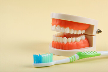 Dental model of teeth and dental care products on colored background with place for text