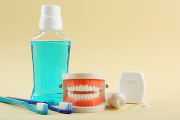 Dental model of teeth and dental care products on colored background with place for text
