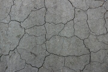 Dried up cracked gray soil
