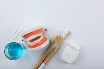 Dental model of teeth and dental care products on light background with place for text
