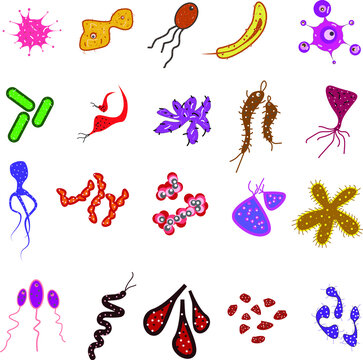 Vector - Germs set. Colorful flu virus cells biological microbes amoeba epidemiology bacteria disease germ flu cell science cartoon isolated vector set
