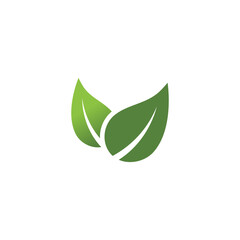 Leaf Mint Logo Template vector symbol