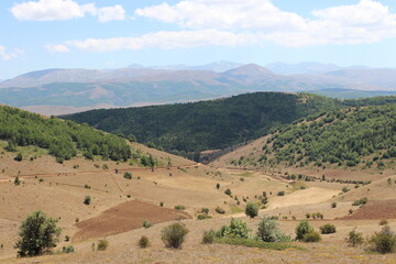 Fototapeta na wymiar landscape with trees and mountains bayburt