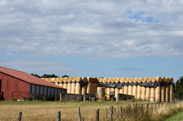 Fototapeta premium à la ferme