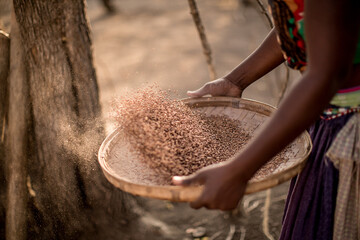 Close-up of a woman sifting grain, Zimbabwe