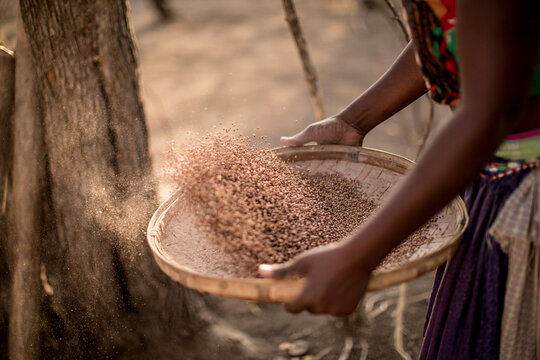 Close-up Of A Woman Sifting Grain, Zimbabwe