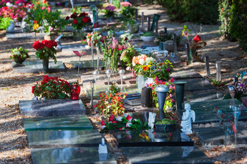 Tombstones with flowers on a cemetery in Rotterdam in the Netherlands