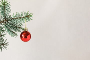 Christmas red ball on fir brunch, Christmas and New Year holiday background. Copyspace