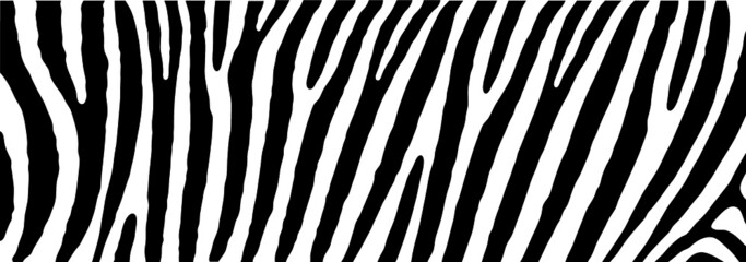Fototapeta na wymiar Africa, safari zebra print. Animal skin prints. Wild animals. Tiger stripes, stripe sign. Vector background banner. Camouflage line pattern. Memphis style, vintage, retro 80s, 90s. Black and white.