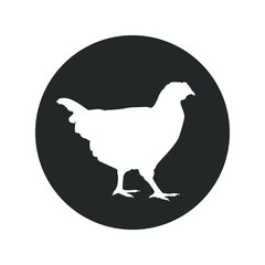 Chicken graphic icon. Chicken sign in the circle isolated on white background. Vector illustration