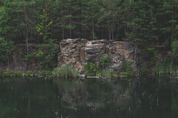 rocks canyon withe the wild forest