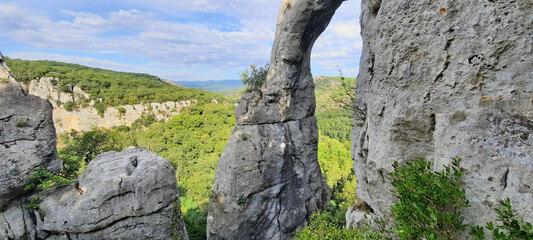 Le bois de Païolive en Ardèche en France