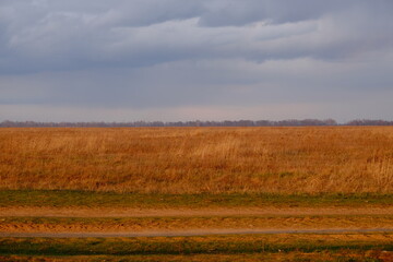 Fototapeta na wymiar Cloudy dramatic sky over the autumn steppe. Bright dry field herbs.