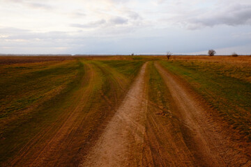 Fototapeta na wymiar Two diverging dirt roads. A fork in two roads in a field in the late evening.