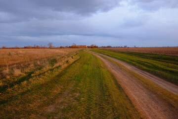 Fototapeta na wymiar Country road among the fields in a late spring evening. Twilight landscape.