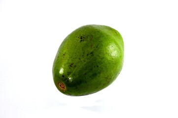 Avocado from Brazil with white background