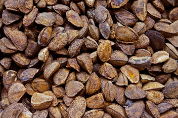 Brazil nuts at the market, Belo Horizonte, Minas Gerais