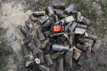 Lots of firewood with chainsaw.
