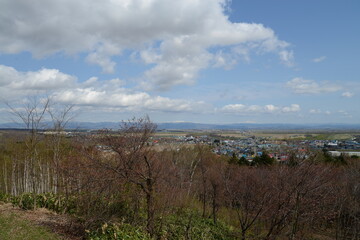 Fototapeta na wymiar 山からの眺望