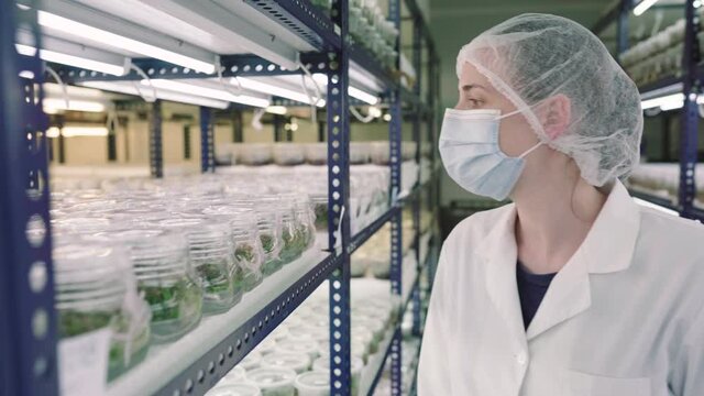 Female scientist working in laboratory with plants