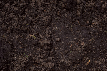 fertile ground is loosened for cultivation. fresh loam soil background.