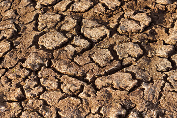  racked and dry earth in the desert. Global warming and shortage of water on the planet. Drought, cracked ground. Natural texture of soil with cracks, wasteland. Symbol of weather and climate changes