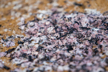 droppings from swallows on the floor by the house