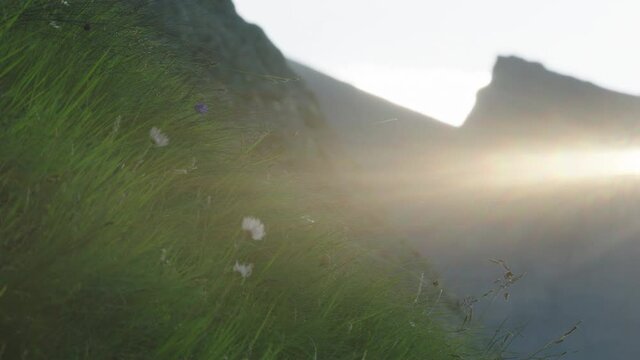 Sunlight intensifying over grassy landscape, Europe