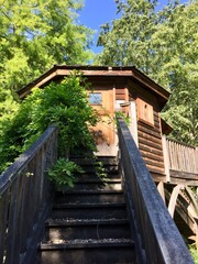 Chalet en bois surélevé