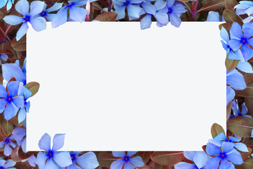 White blank space for text with flowers as backdrop.