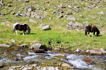 Faltmarbach im Passeiertal