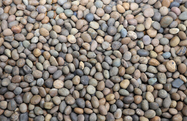 River rocks on the floor, pebble stone background, texture.