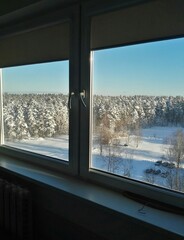 View from the window to the winter forest and snow.
