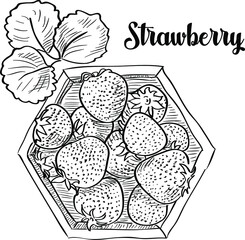 Drawn from above basket with strawberries