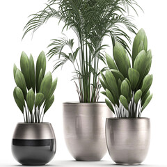 Decorative plants in pots on a stand	
