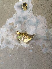 дефект трубы наружных тепловых сетей