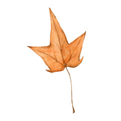 Watercolor autumn foliage clipart illustration